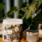 Té Blanc Handmade Non Toxic Candles - Sunshine Alchemists & Soap Co